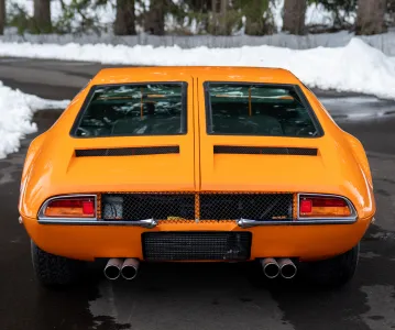Mangusta